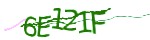 show_captcha