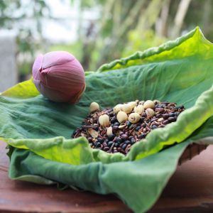 Trà đậu sen quê
