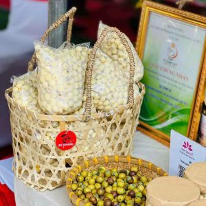 Sen sấy mộc Sen sấy mộc